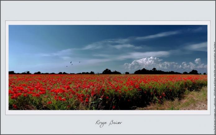 Rouge baiser 1